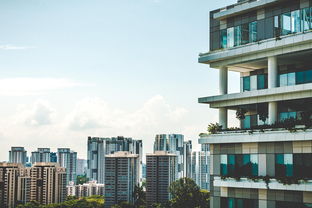 泉州房屋出租市场分析及投资指南