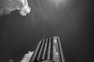 同居公寓，新时代的居住模式与房产投资新机遇