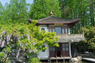 万柳光大花园，北京高端住宅区的璀璨明珠
