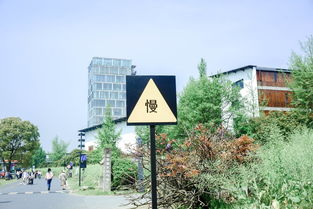 怀集租房指南，如何找到理想的居住环境