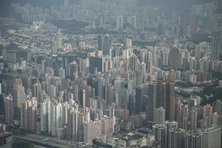 全州租房市场分析，趋势、策略与建议