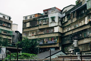 听涛雅苑，理想租住地，享受海滨生活