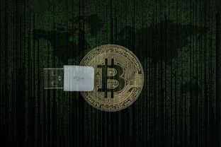 元宝鱼，房产投资中的财富密码