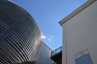 上下桥租房，探索城市生活的新起点